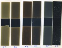Black patches 1.jpg Black patches 1.jpg
