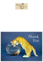 Card 7x10L - Inquisitive Cat Thank you.jpg