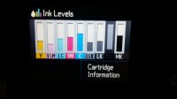 ink levels.jpg