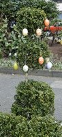 Egg Tree.jpg