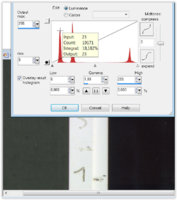 Fade Netbit DL 6w-2.Bk.jpg