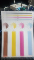 colours.jpg colours.jpg