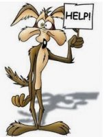 Coyote.JPG Coyote.JPG