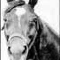horsehead