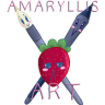 amaryllis.art