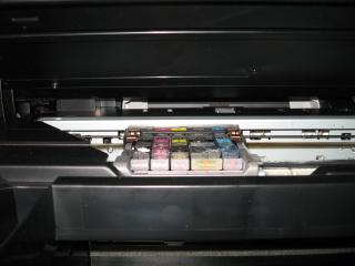 7439_img_2389.jpg
