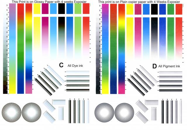 5128_original_pigment.jpg