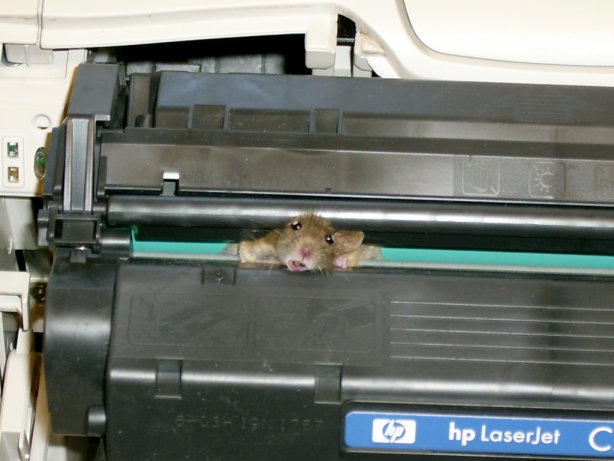 printer3.jpg