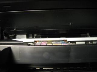 7439_img_2395.jpg