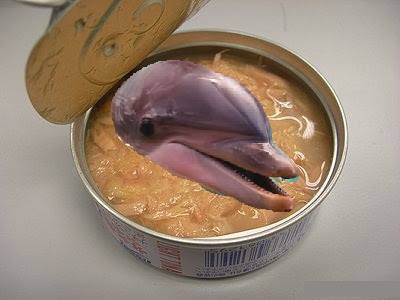 dolphin_in_tuna.jpg