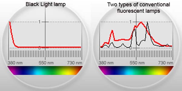 FluorescentLighting.jpg