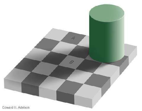 opticalillusiongreycheckers.jpg