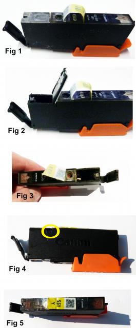 5128_fig_1-5.jpg