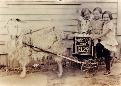 Denison_children_and_goat_cart_1929.jpg